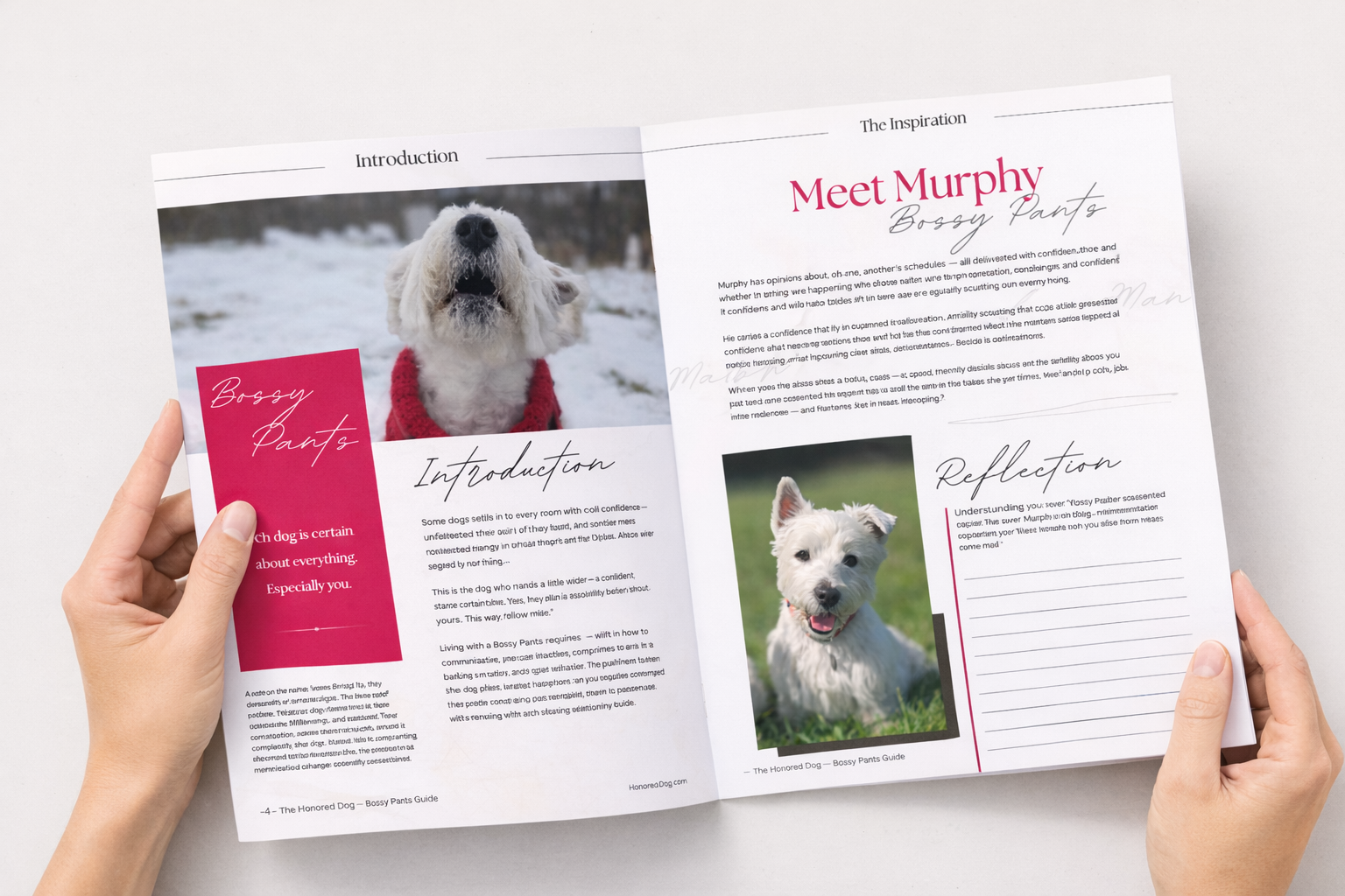Bossy Pants – Dog Personality Guide & Workbook