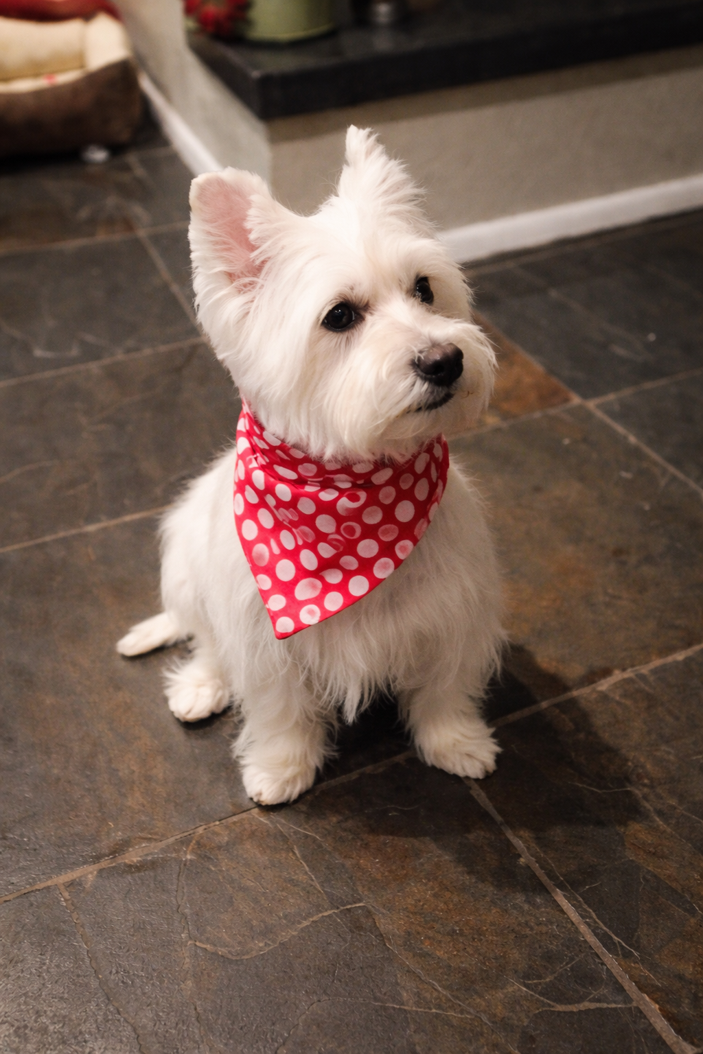 OG Doggy Diva - Fergie
