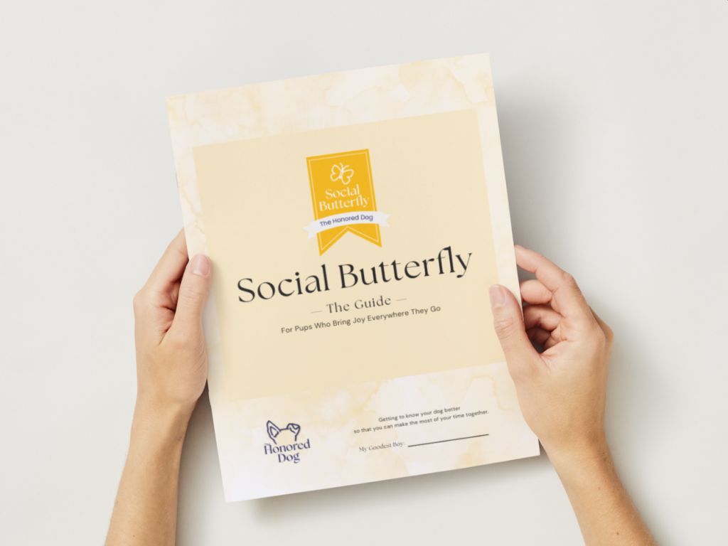 Social Butterfly Guide - 0
