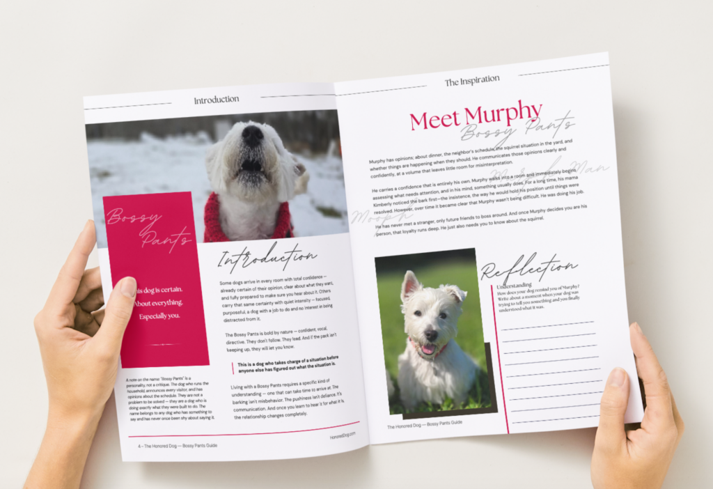 Bossy Pants Dog Personality Guide - 2