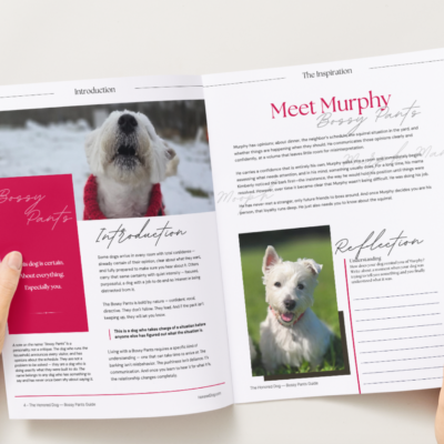 Bossy Pants Dog Personality Guide - 2