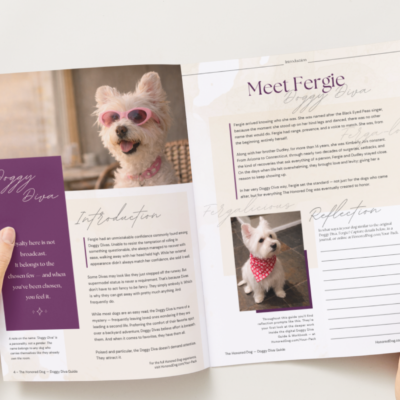 Doggy Diva Guide