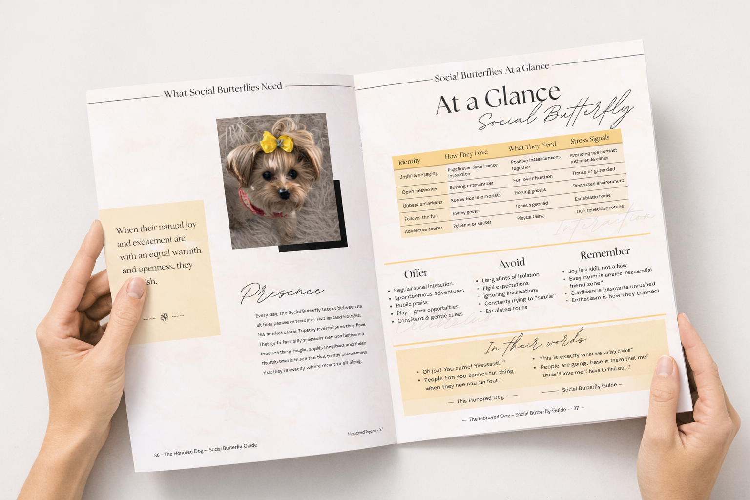 Social Butterfly – Dog Personality Guide & Workbook