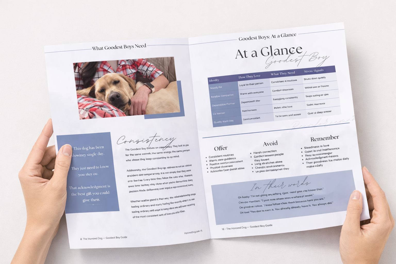 Goodest Boy – Dog Personality Guide & Workbook