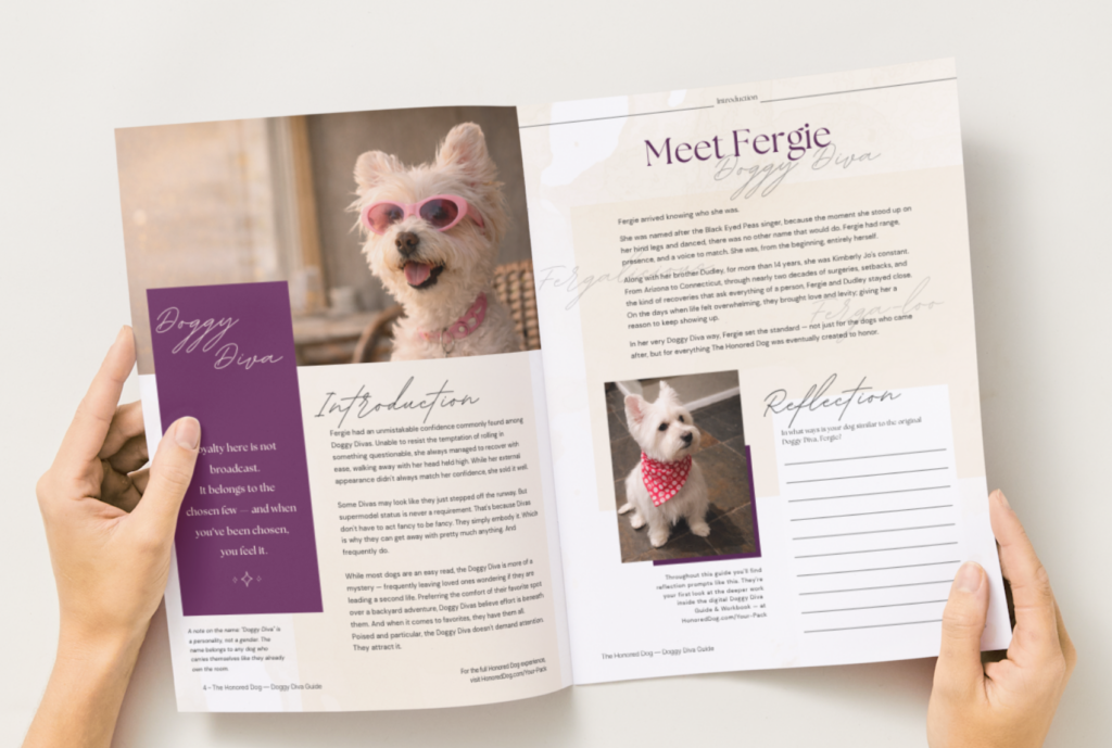 Doggy Diva Guide